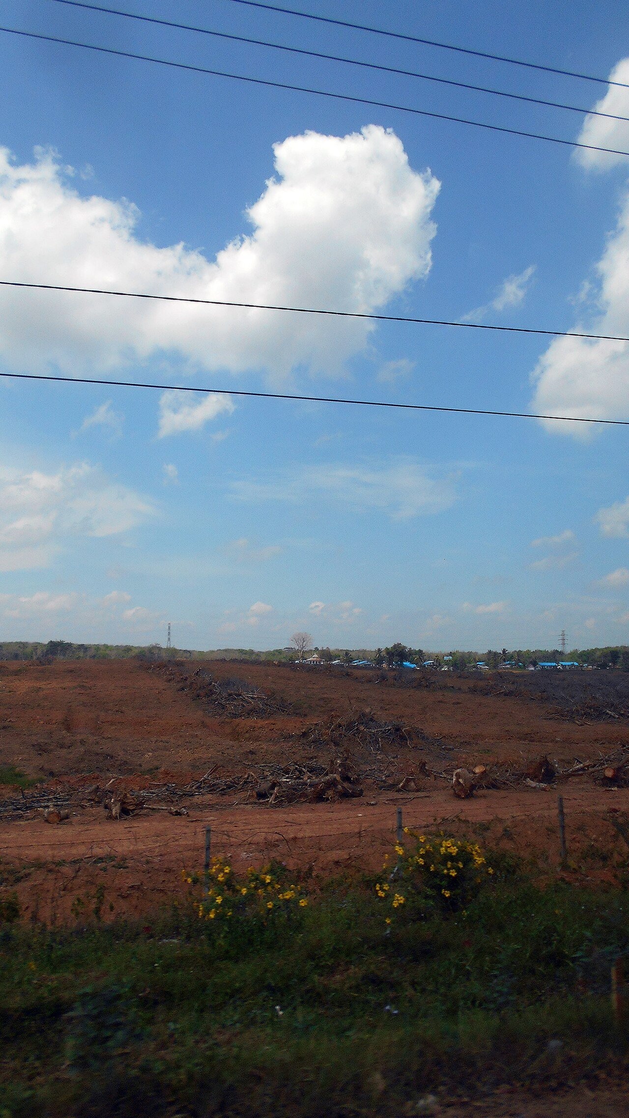 Karet & Kelapa Sawit (CPO)
