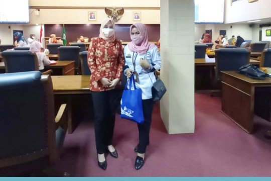 Sosialisasi Pelatihan Online e-Reporting Dharma Wanita Persatuan (DWP) Palembang